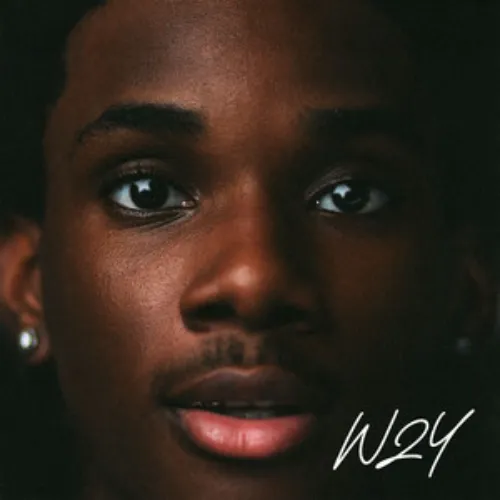 Cover art for Taves – W2Y Album